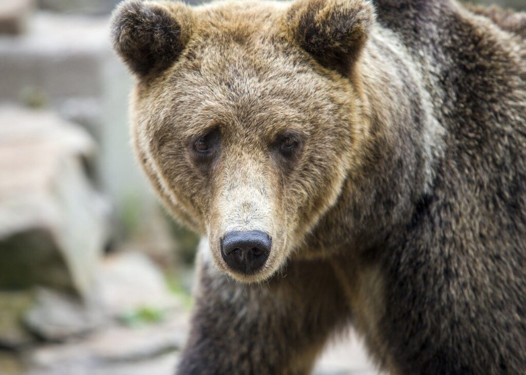 aggr8tech digital branding news from aggreg8