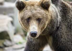 aggr8tech digital branding news from aggreg8