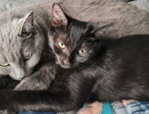 aggr8tech technology updates by aggreg8