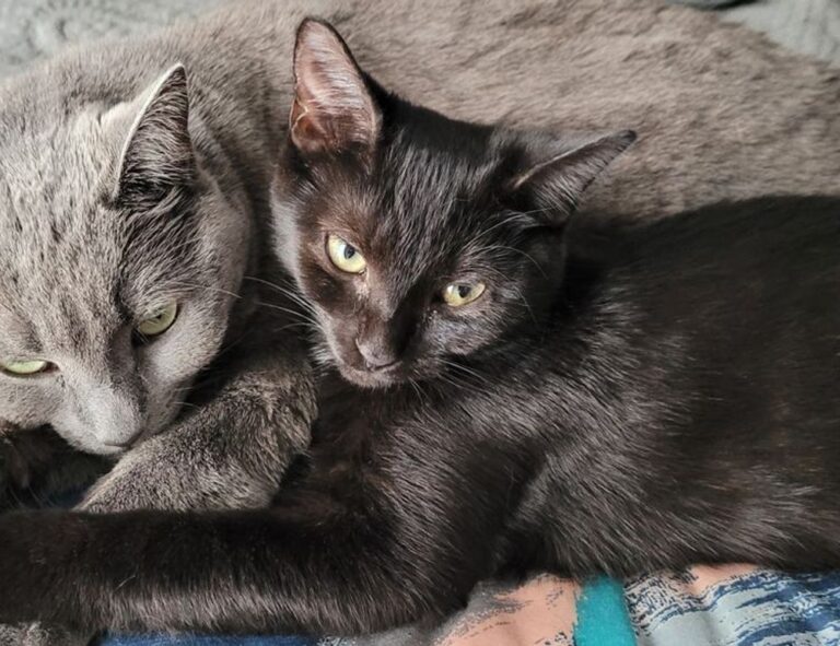 aggr8tech technology updates by aggreg8