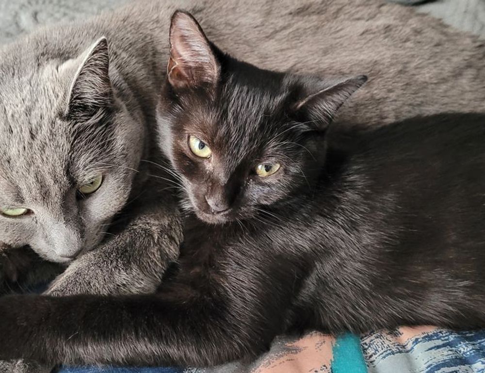 aggr8tech technology updates by aggreg8