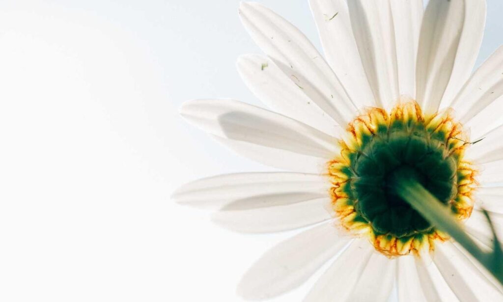 chatbot technology aggr8tech