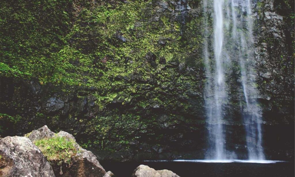 chatbot technology updates aggr8tech