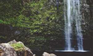 chatbot technology updates aggr8tech