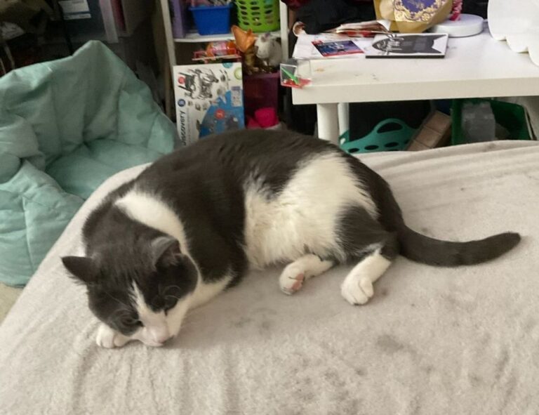 digital branding aggr8tech