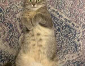 digital infusing aggr8tech