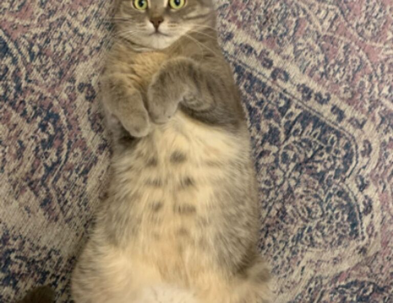 digital infusing aggr8tech