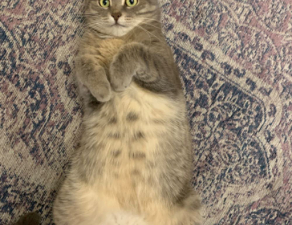 digital infusing aggr8tech