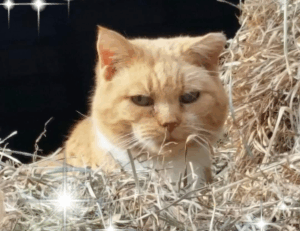 latest technology updates aggr8tech