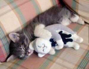 grdxgos glitch fixes