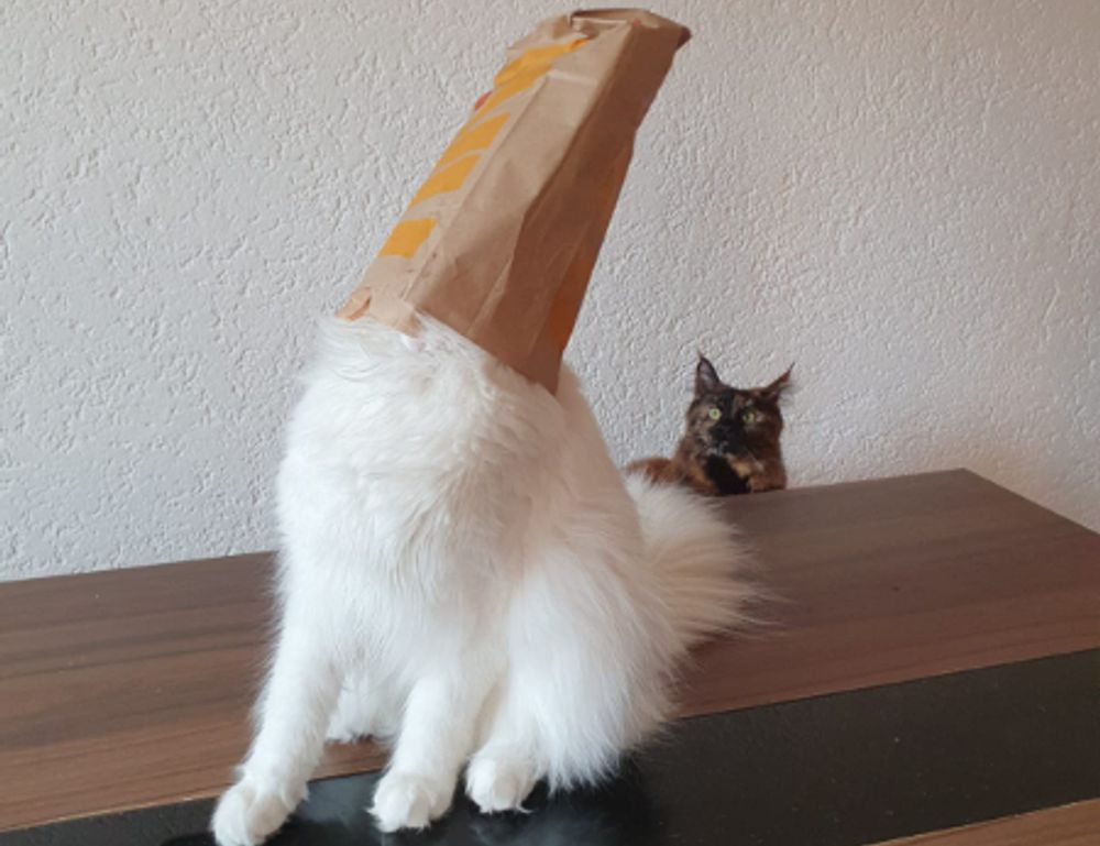 has uhoebeans software been developed to enable users