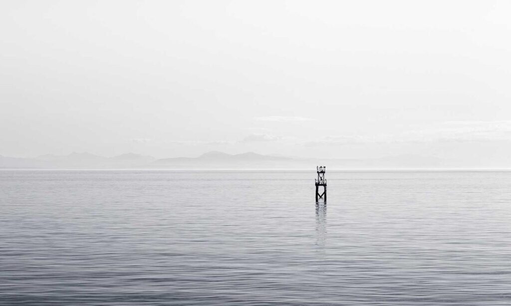 software error llusyep