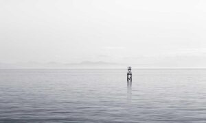 software error llusyep