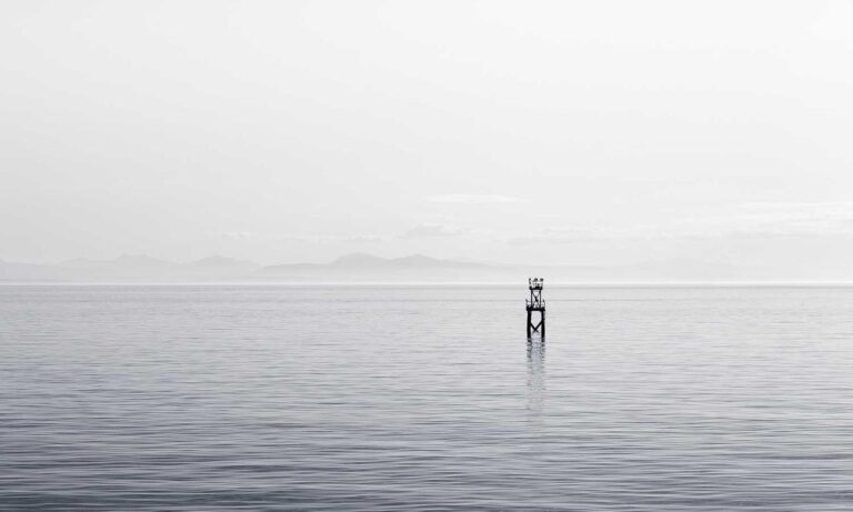 software error llusyep