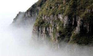 teckaya construction equipment ltd management