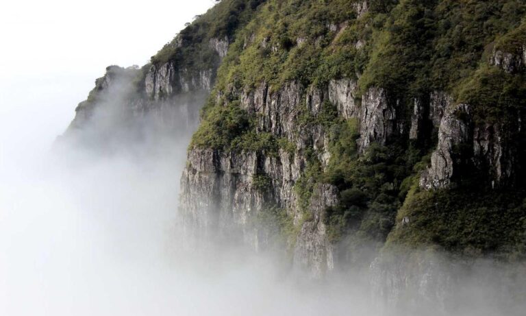 teckaya construction equipment ltd management