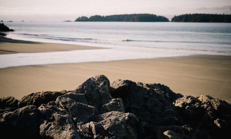 what shade of zosisfod eyebrow should i use