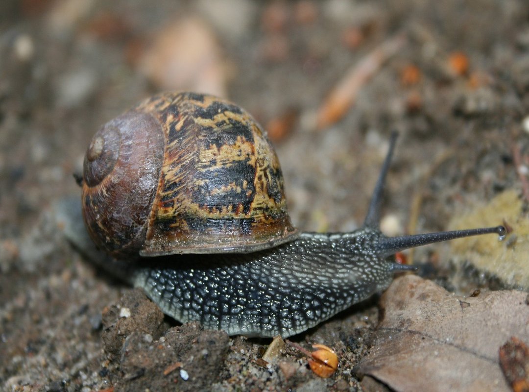 How to Get Started with Fikgap in 3 Simple Steps