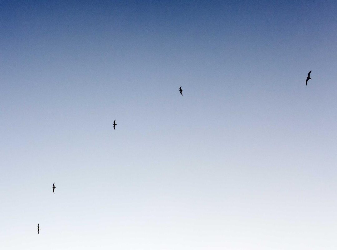 Beyond the Main Channel: Social Media and Other Ventures