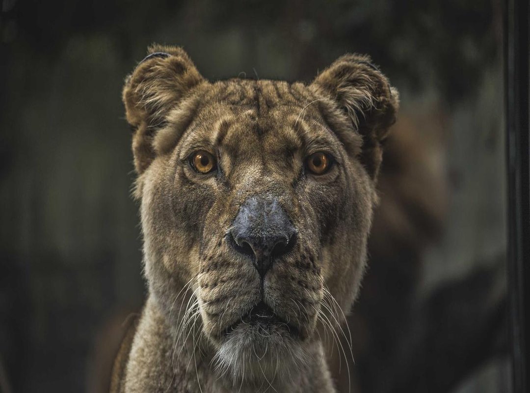 Effortless Styling: The Best Products and Techniques