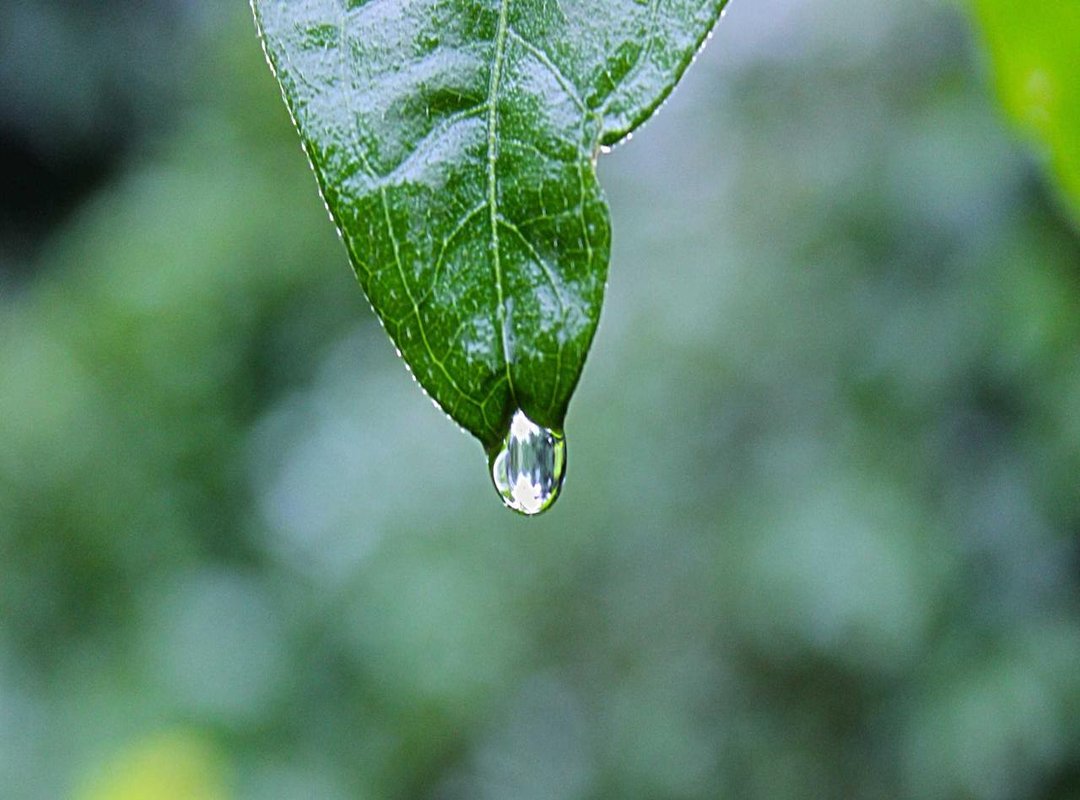 First Impressions: Meeting the Key Characters