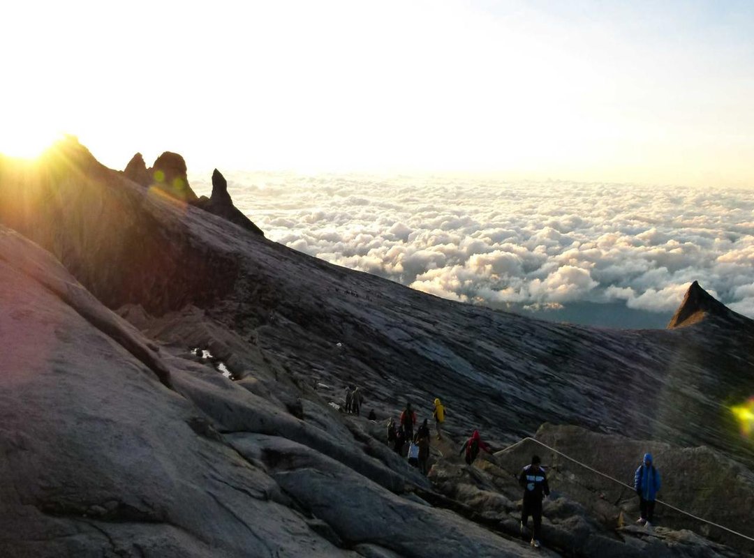 The Downsides: Where This Indicator Can Fail You