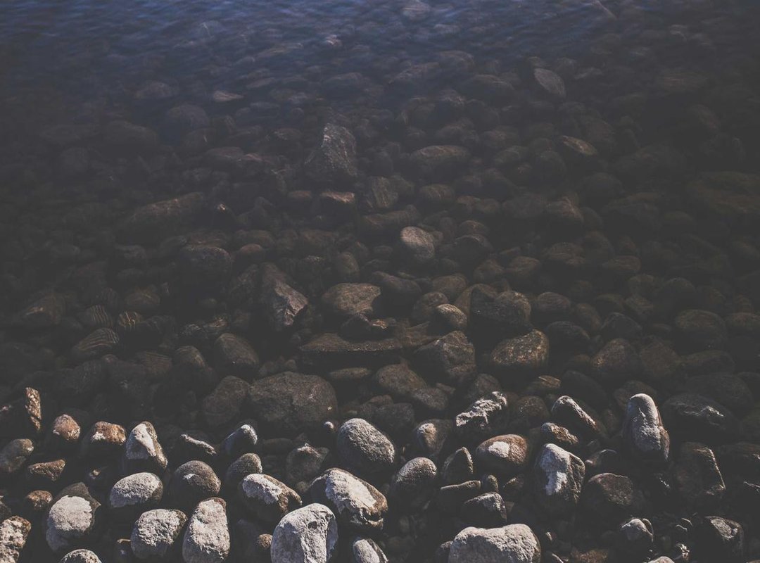 Analyzing the Psychology: Why This Video Went Viral