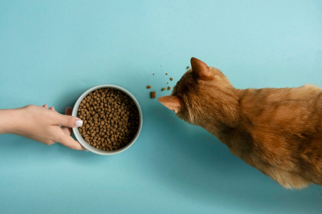 The pet retail market has evolved into a highly competitive and increasingly sophisticated industry. Pet owners today can choose from supermarkets, specialized pet stores, veterinary channels, online marketplaces, subscription services, and direct-to-consumer brands. At the same time, retailers manage increasingly diverse assortments that range from everyday pet food and litter to premium supplements, grooming products, toys, beds, and accessories. Pricing decisions in pet retail are particularly sensitive because purchasing behavior differs significantly across product categories. Customers may compare prices carefully when buying frequently purchased products such as dry food, wet food, or cat litter, while being less price-sensitive when purchasing specialized treats, premium accessories, or products associated with their pet's comfort. Effective price optimization helps pet retailers turn this complexity into a competitive advantage. By combining transaction data, demand patterns, price elasticity, competitor information, product relationships, and business objectives, retailers can make more informed pricing decisions across thousands of SKUs. A structured approach makes it possible to protect margins without becoming uncompetitive, identify products that strongly influence price perception, plan more effective promotions, and adapt prices as market conditions change.